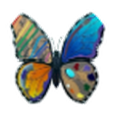 Art Fusion butterfly